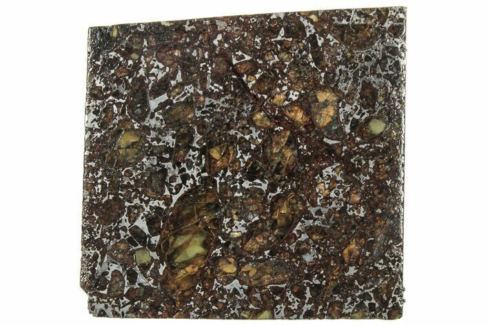 Polished Admire Pallasite Meteorite ( g) Slice - Kansas #307364